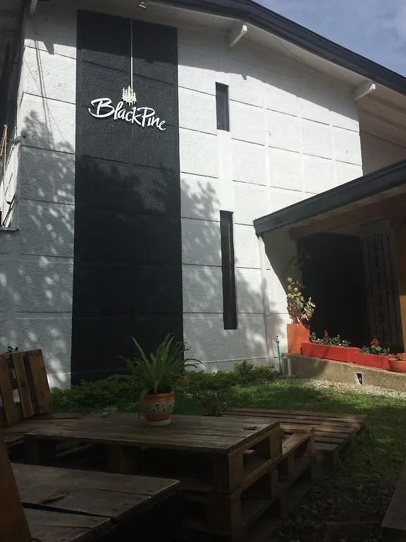 Blackpine Hostel Медельин Колумбия