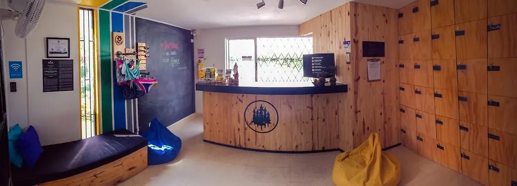 Blackpine Hostel Медельин Колумбия