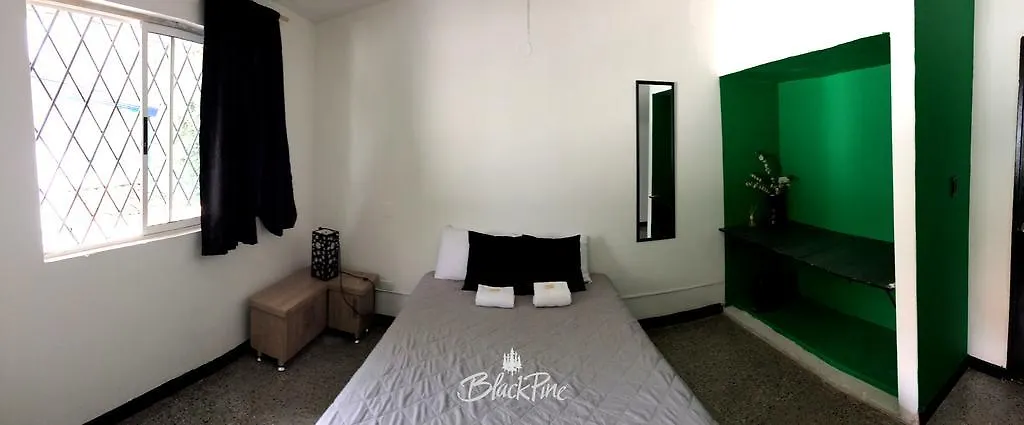Blackpine Hostel Медельин 0*,