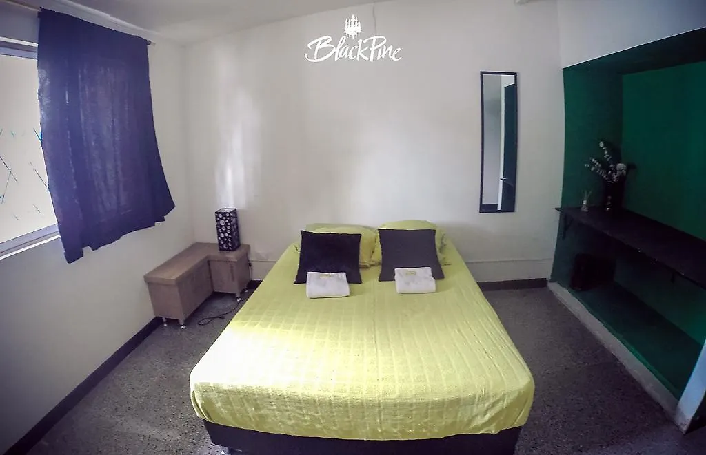 Blackpine Hostel Медельин