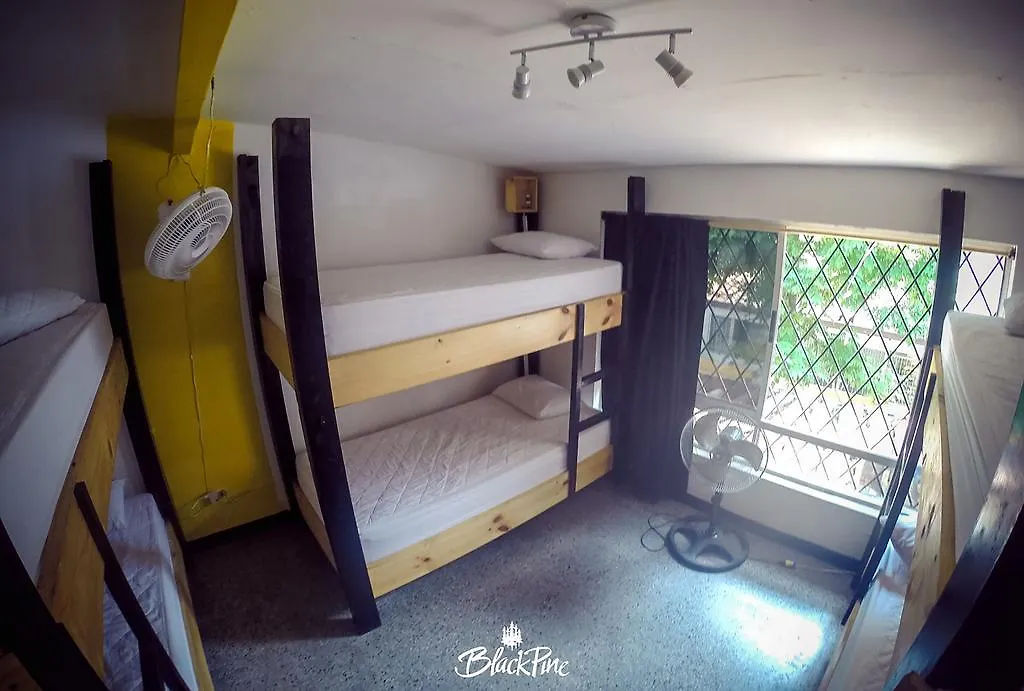Blackpine Hostel Медельин