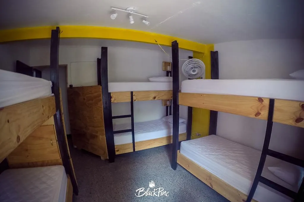 Blackpine Hostel Медельин