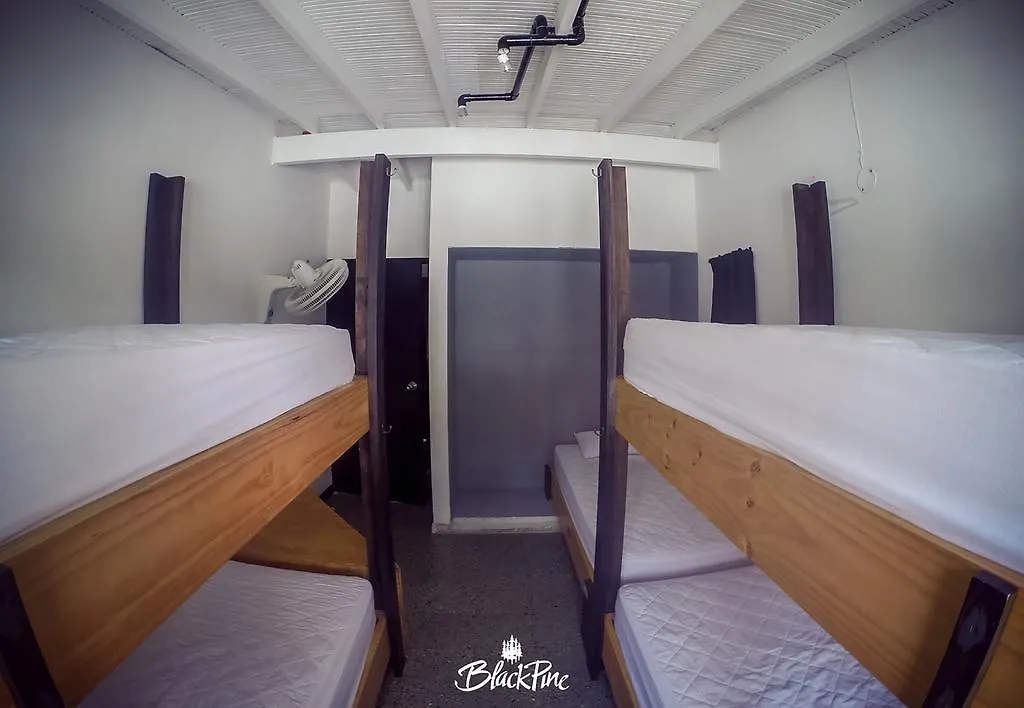 Blackpine Hostel Медельин Колумбия