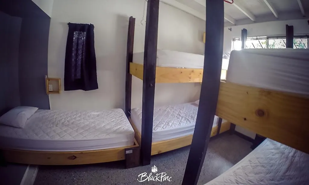 Blackpine Hostel Медельин