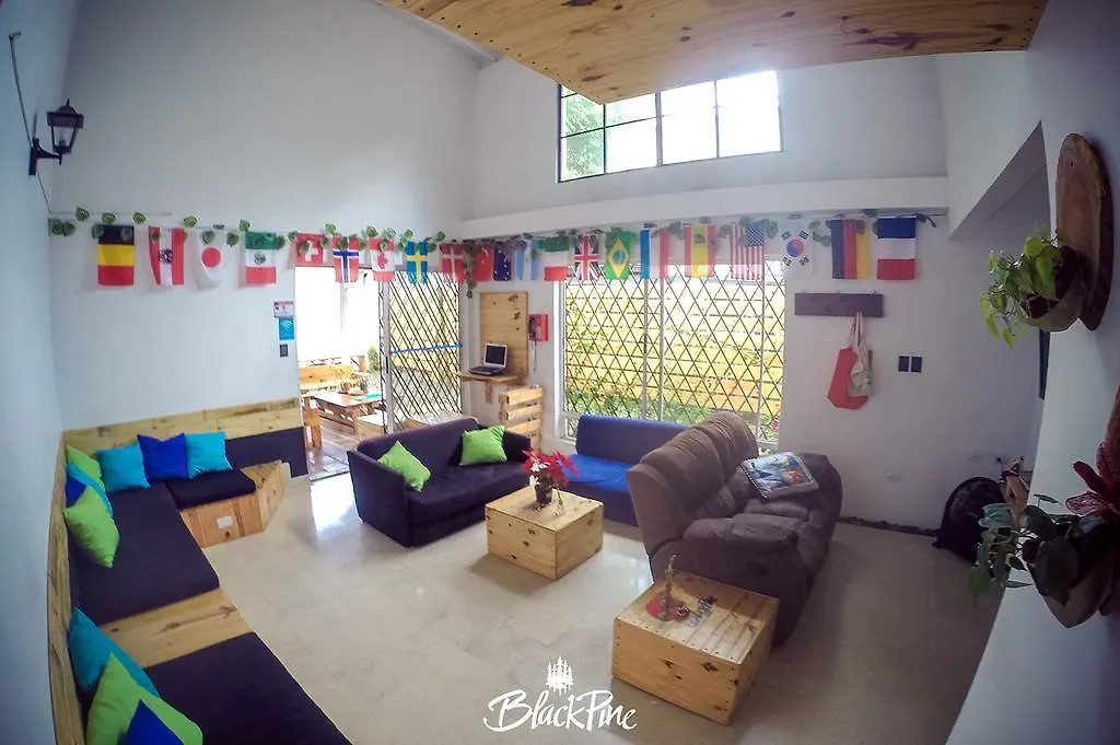 Blackpine Hostel Medellín