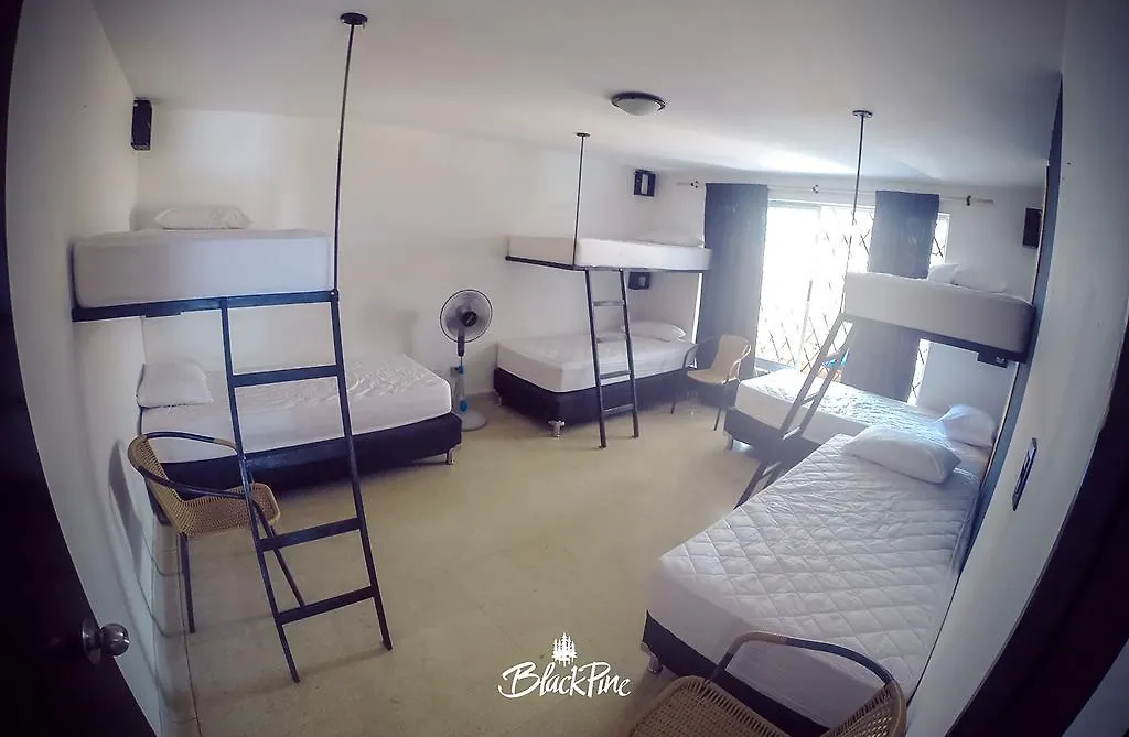Blackpine Hostel Medellín