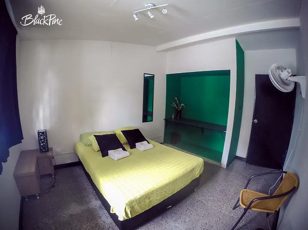 Blackpine Hostel Medellín