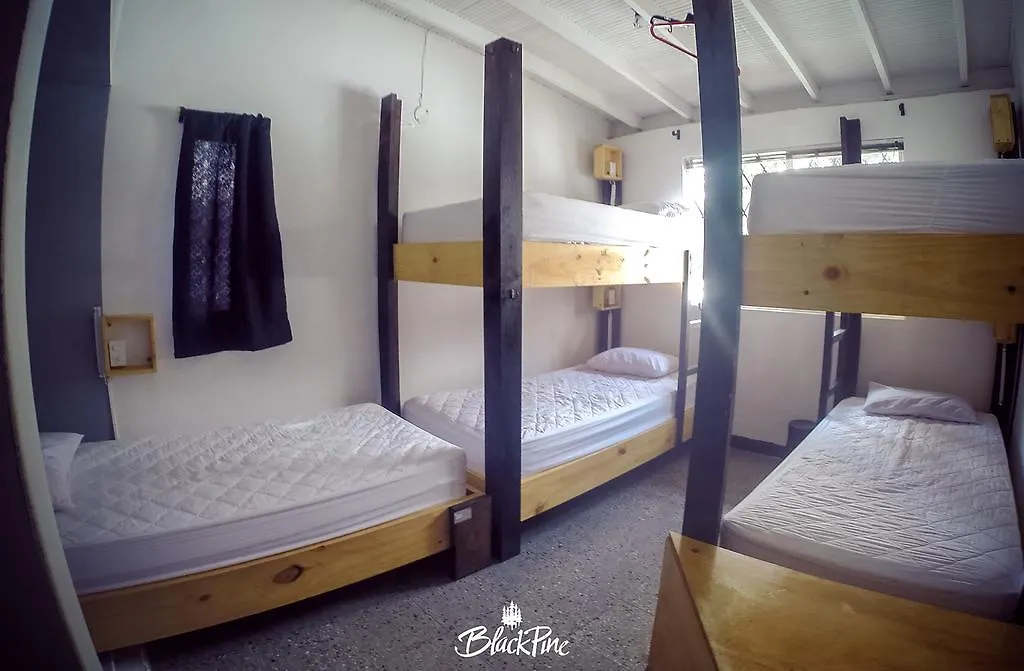 Blackpine Hostel Medellín