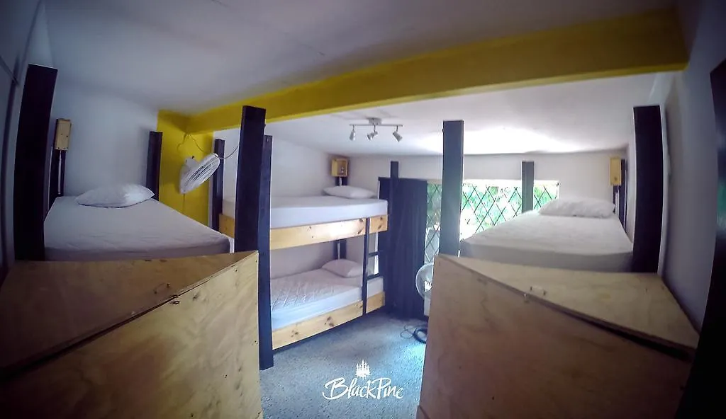 Blackpine Hostel Medellín Kolumbie