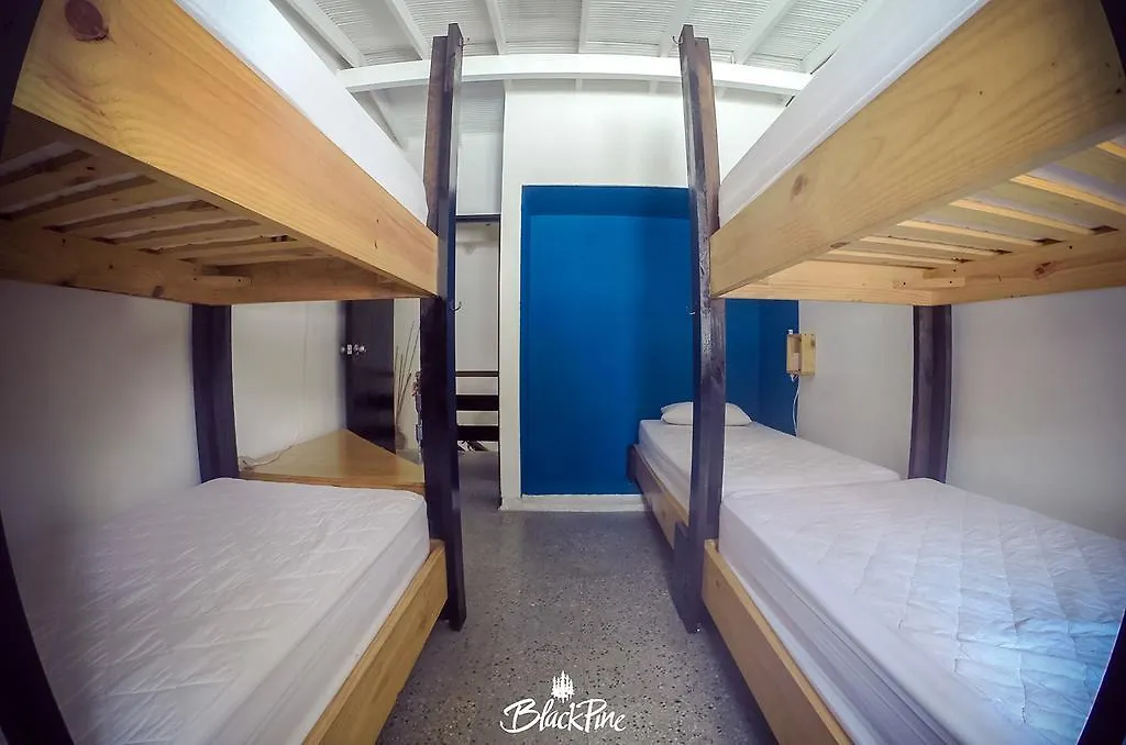 Blackpine Hostel Medellín Kolumbie