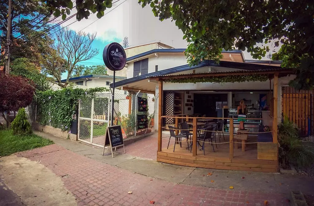 Blackpine Hostel Medellín